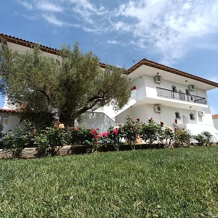 Marios Garden House Apartment Афитос Екстериор снимка